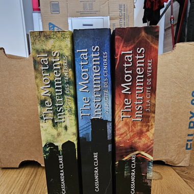 Livre "The Mortal Instruments"