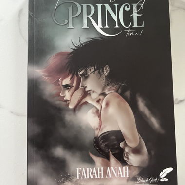 Romanzo The Wrong Prince Volume 1