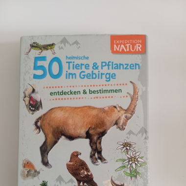 Quiz karten