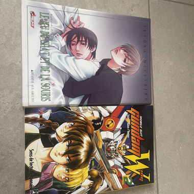Confezione di due manga