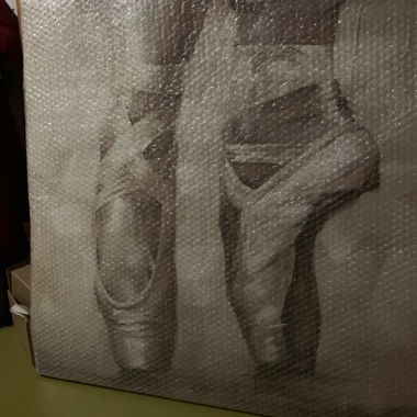 Immagine ballerina