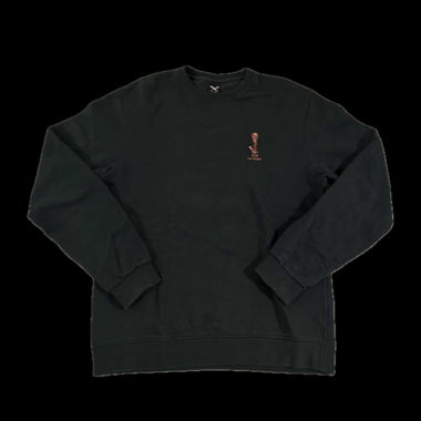 Grüner Sweatshirt von Blue Tomato