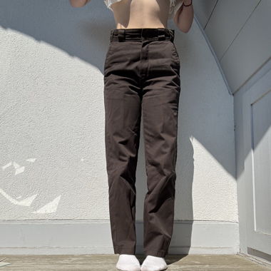 Dickie's Hosen Braun