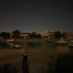 Laylaleo