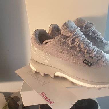 Adidas x Day one Ado Terrex Agravic