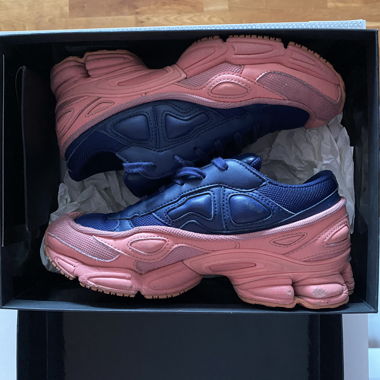 RAF Simons Ozweego