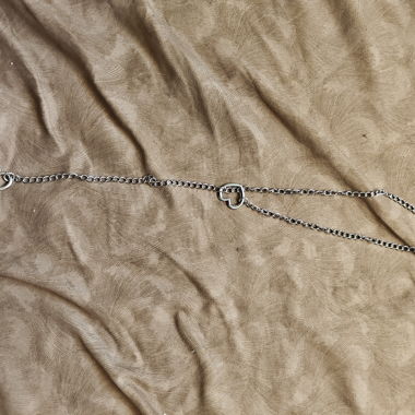 Collana con catenina a cuore color argento
