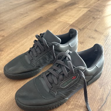 Adidas Calabasas Sneaker