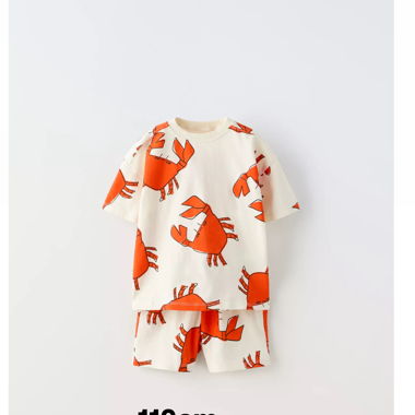 Kids set t-shirt and crab bermuda shorts