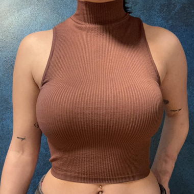 Brown Zara Crop Top