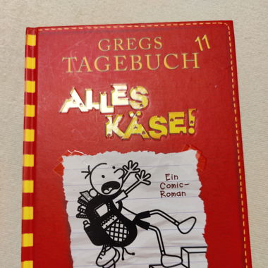 Gregs Tagebuch 11