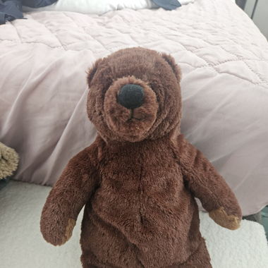 Teddybären