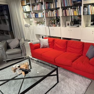 Rotes Designersofa