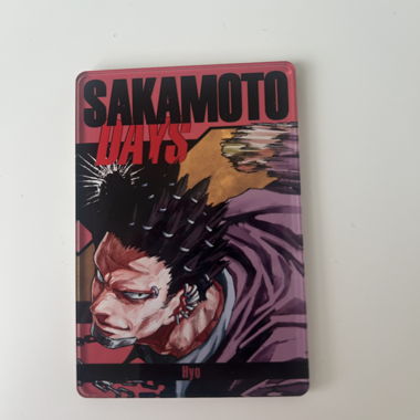 Acrylique Hyo Sakamoto Days