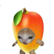 Mangossindfein