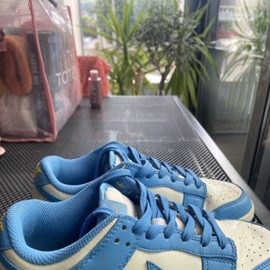 Nike dunk blu