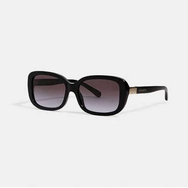 Coach Sunglasses with Case