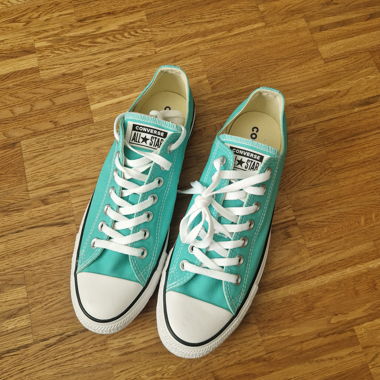 Converse Chuck Taylor All Star Low Sneakers