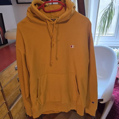 Hoodie champion 