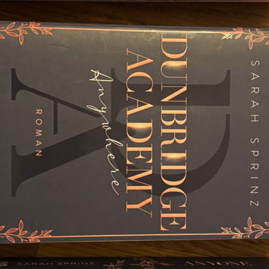Dunbridge Academy Buch Teil 1