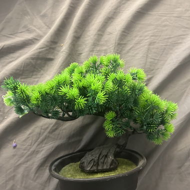 Bonsai artificiale in vaso