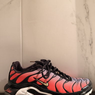 Nike Air Max Plus Sisterhood