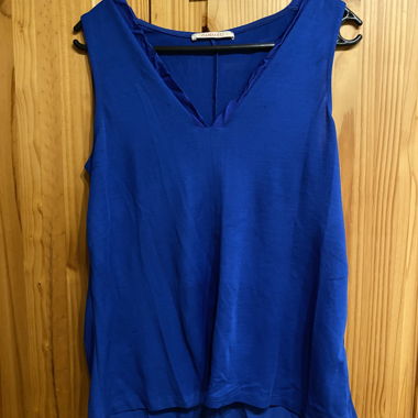 Blue top