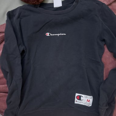 Champion Sweatshirt