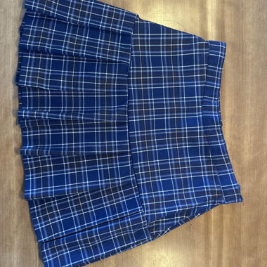 Blue Plaid Skirt
