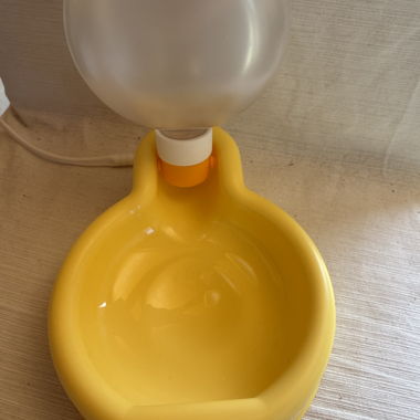 Gamelle pour chien 