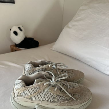 Yezzy Shoes 