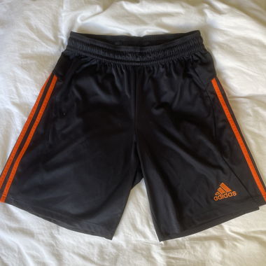 Adidas ClimaCool Sport Shorts