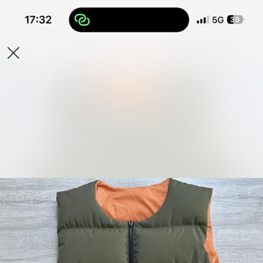 Palace Gore-Tex gilet