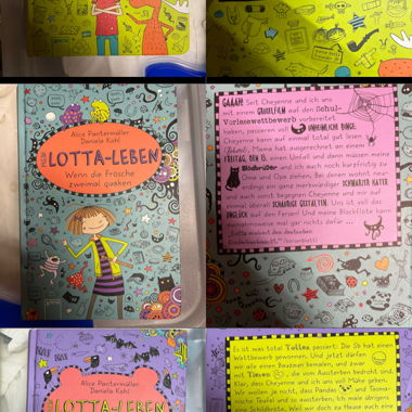 mein Lotta Leben alle Bücher