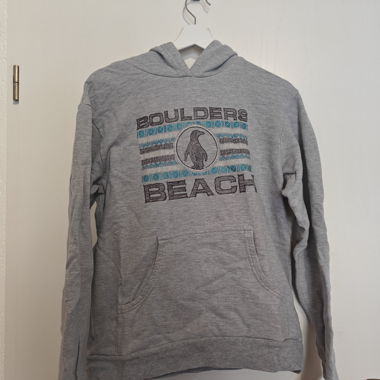 Felpa con cappuccio grigia Boulders Beach