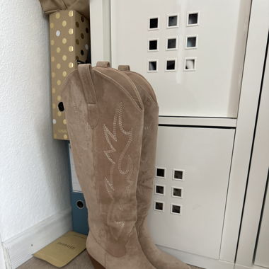Suede Boots 