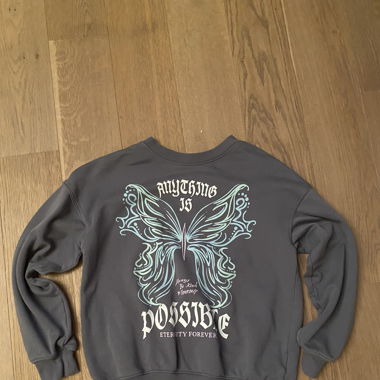 Grauer Schmetterling Pulli