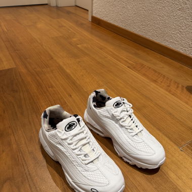 Air Max 95 corteiz