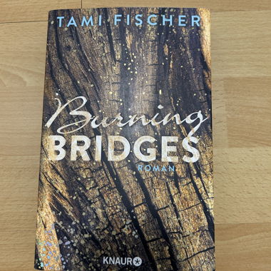 Burning Bridges Roman