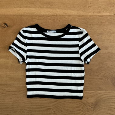 Zara Striped Crop Top
