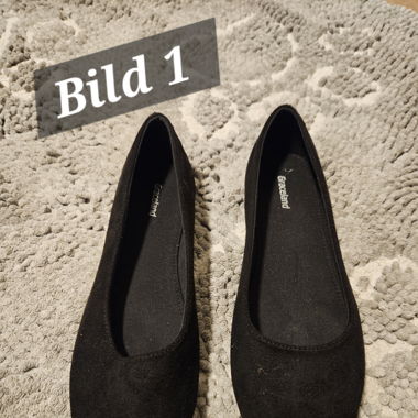 Spiele,Schuhe, Hundegeschier