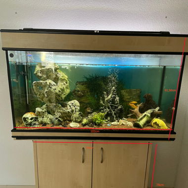 aquarium+poissons+pompe+autre