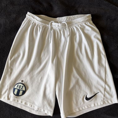 Nike FCZ Shorts