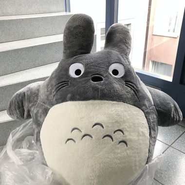 Super grande TOTORO XXXL / Studio Ghibli