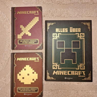 Pack de livres Minecraft 3 pièces 