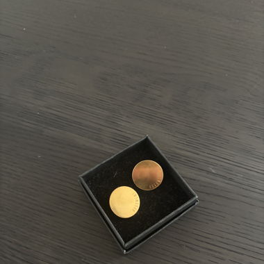 ARGUMENT EARRINGS