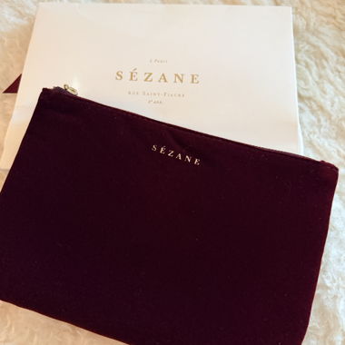 Sezane Velvet Pouch (New)