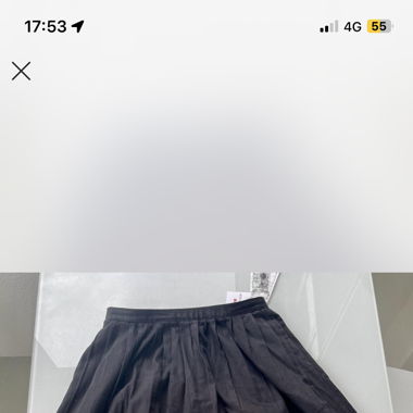 Ines de la Fressange Uniqlo Skirt 