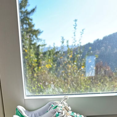 Bapesta green