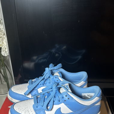 Nike Dunk blue/white